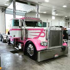 Image result for Pink Coral 1999 Truck