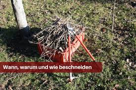 Neuanlegen des rasens oder beete Hohe Baume Selber Schneiden Wenn Baume Bis In Den Himmel Wachsen
