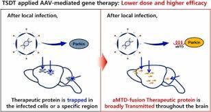 Image result for Dark Hunter Green 1996 AAV