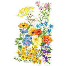 Edible Beauties Flower Mix Seeds Edible Flowers House Plant Delivery Flower Beauty