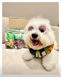 Photo by Cody N' Toby (@codyntoby) · August 13, 2025