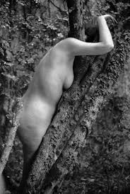 Questions of Identity: Photographic Series by Alicia DAmico, 1983–86 - Art  Journal Open