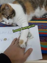 Isosyaladam Posts Facebook