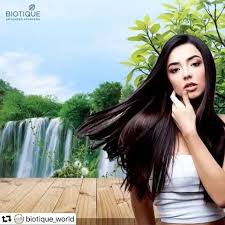 Biotique botanicals bhringraj hair growth therapeutic oil. New The 10 Best Hairstyles With Pictures Biotique Bhringraj Hair Oil Hairoil Haircare Hair Natural Herbal Hair Styles Bhringraj Hair Oil Hair Oil
