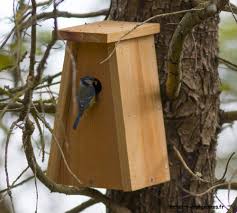 Nichoir A Mesange Bleue Nichoir Tipi En Bois Fabrication Artisanale Nichoir Mesange Nichoir Mesanges Bleues