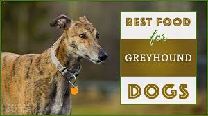9 Best Healthiest Dog Food For Greyhounds In 2019