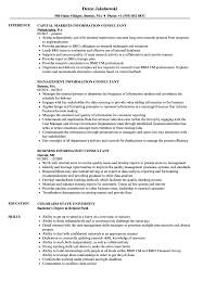It consultant resume sample for information technology professional with experience as it consultant technical lead in software design process. Information Consultant Resume Samples Velvet Jobs