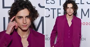 .premiere of greta gerwig's little women on saturday night, along with additional castmembers laura dern, timothée chalamet and tracy letts. Oh My Timothee Chalamet Rocked A Raspberry Colored Suit At The Premiere Of Little Women Next Divas