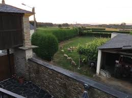 Compara gratis los precios de particulares y agencias ¡encuentra tu casa ideal! Apartamentos Casa Benito Prices Condominium Reviews Ribadeo Spain Tripadvisor