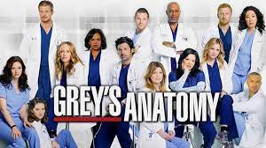 Grey S Anatomy Saison 15 Episode 11 Streaming Vf