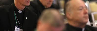 U.S. bishops advance pastoral initiatives to strengthen church amid  discussions