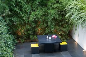 Declan Buckley Design Private Spaces The Secret Garden Small City Garden Private Garden Design City Garden