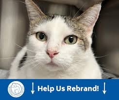 Blue Ridge Humane Society