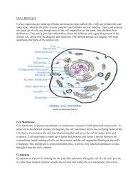 They include the cell wall, large central vacuole, and plastids (including chloroplasts). Cell Biology Article