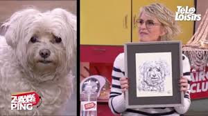 Check spelling or type a new query. Sophie Davant Touchee Par Le Tendre De Cadeau De Ce Vendeur En Hommage A Sa Chienne Decedee Djette Video