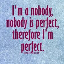 Nobody Is Good Sometimes Nobody Is Perfect Quotes Perfection Quotes Picture Quotes