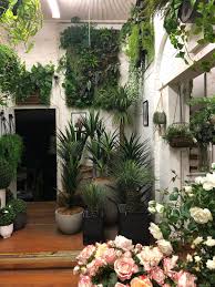 Maybe you would like to learn more about one of these? Artificial Plant Showroom