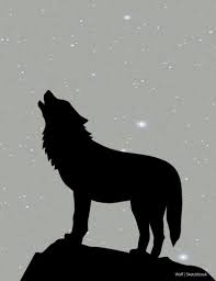 Draw a line on the eye. Wolf Sketchbook Cute Sketchbook Blank Book Drawing Pad And Unlined Notebook 120 Pages Gifts For Kids Gifts For Adults Sketchbooks For Kids And Adults Xist Publishing 9781532408854 Amazon Com Books