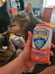 Low carb dinner recipes meat recipes real food recipes asian recipes recipies cooking recipes cooking wine easy cooking japanese hamburger steak. 0 Carbs 0 Sugar And Surprisingly Good Imo Don T Mind My Cats Making Out Ketodrunk