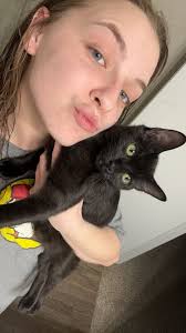 How to find a lost cat in Summer Green?