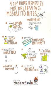 9 Diy Home Remedies For Relieving Itchy Mosquito Bites Home Remedies For Mosquito Remedies For Mosquito Bites Bug Bites Remedies