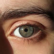 Pin On Eyes