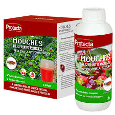Kit Piegeage Mouche Fruits Rouges Drosophile Fraises Framboises