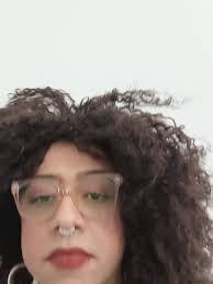 Representatividade e Direitos das Travestis e Mulheres Trans