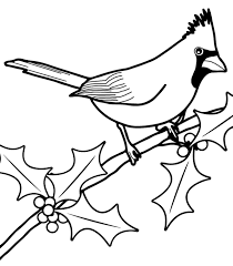 Select from premium louisville cardinals of the highest quality. Png Clipart Clip Art Tree Coloring Pages Cardnle