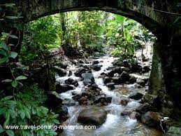 Sebenarnya, taman botani, putrajaya merupakan sebuah taman botani buatan manusia yang menempatkan ribuan spesis tumbuhan dalam dan luar negara. Penang Botanic Gardens Taman Botani Pulau Pinang