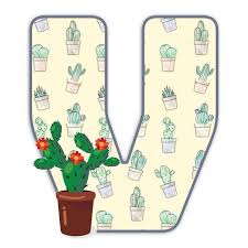 Pin De Fah Fr Em Cactos Com Imagens Cactos