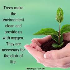 Maybe biological there is only one answer to this question, but when it comes to philosophy. 50 Slogans For Tree Plantation Events And Save Trees Initiatives Slogans To Save Trees Forest Thefunquotes