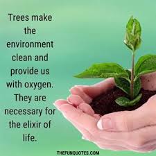 Life without trees is not. 50 Slogans For Tree Plantation Events And Save Trees Initiatives Slogans To Save Trees Forest Thefunquotes