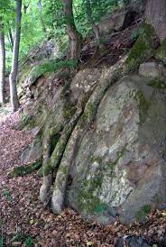 fotos und bilder aus bad lauterberg www harz seite de bilder alte ansichtskarten berg