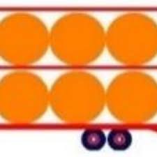 Image result for Panicum habrothrix