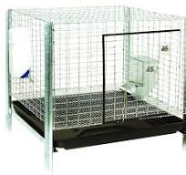 Amazon.com: Pet Lodge Rabbit Hutch Complete Kit - Easy to ...