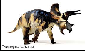 Beasts Of The Mesozoic Ceratopsian Series Action Figures By David Silva Designing The Ceratopsian Series An In De Ancient Animals Prehistoric Animals Beast
