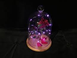I love doing arts and crafts of all kinds. Enchanted Rose Beauty And The Beast 6 Steps With Pictures Instructables