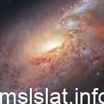 السلام عليكم ورحمة الله وبركاته. Ø£ÙŠ Ø§Ù„Ø®ÙŠØ§Ø±Ø§Øª Ø§Ù„ØªØ§Ù„ÙŠØ© ØµØ­ÙŠØ­Ø© Ù„Ù†Ø­ØµÙ„ Ø¹Ù„Ù‰ Ù…Ø­ÙˆÙ„ Ø±Ø§ÙØ¹ Ù„Ù„Ø¬Ù‡Ø¯ ØµØ­ÙŠÙØ© ØªØ±Ø§Ù†ÙŠÙ…