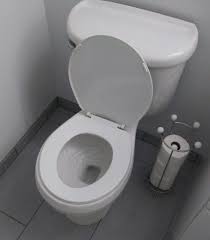 Leaks can cause terrible smells that can make people vomit. Issues With Toilet Leaking Into Bowl Fix It Yourself Anchor Plumbing Service
