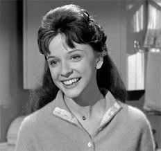 Television's New Frontier: The 1960s: Hazel (1962)