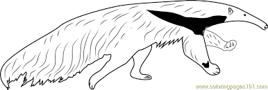 Anteaters are so interesting don't you think? Giant Anteater Running Coloring Page For Kids Free Anteater Printable Coloring Pages Online For Kids Coloringpages101 Com Coloring Pages For Kids