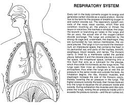 You might also be interested in coloring pages from anatomy category. Welcome To Dover Publications