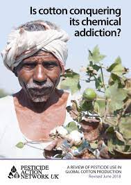 Cotton insect management guideteaching, research, extension and service. Is Cotton Conquering Its Chemical Addiction By Pan Uk Issuu