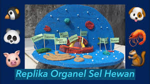 Vegapunk mengisolasi sel hewan dari jaringan otot dan melakukan beberapa. Miniatur Sel Hewan