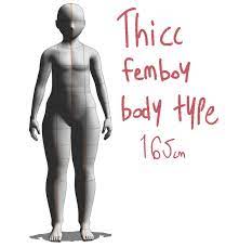 Thicc Femboy Body Type (165cm) - CLIP STUDIO ASSETS