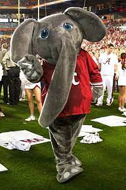 Get up to 50% off. Wojciechowski Hard To Find Fault With Alabama Alabama Crimson Tide Alabama Crimson Tide Football Crimson Tide Football