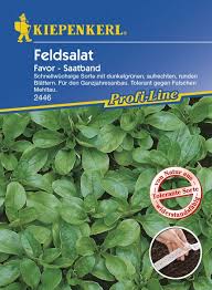 3.) das saatband muss jetzt gut trocknen, damit die samen nicht vorzeitig zu keimen beginnen. Feldsalat Favor Saatband Kiepenkerl Shop