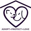 Find dogs and puppies locally for sale or adoption in ottawa / gatineau area : 1