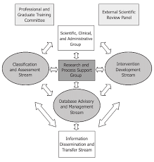 Organizational Structure Of The Canadian Institutes Of